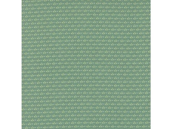 Hovedbilde Raspberry summer teal blender