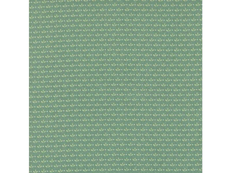 Raspberry summer teal blender