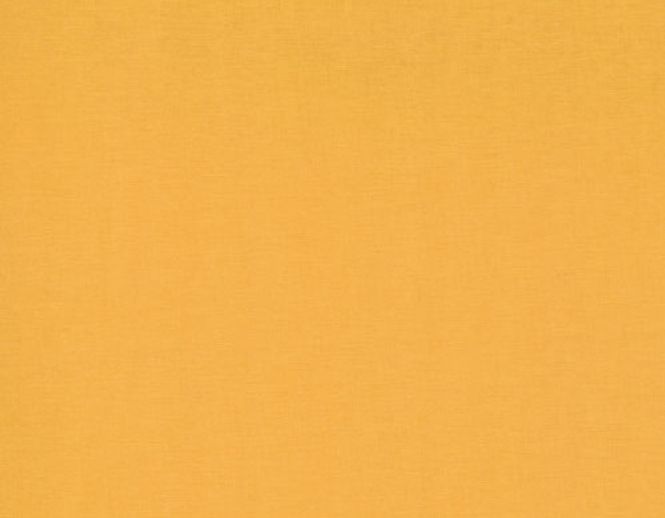 Hovedbilde Bella solids cheddar