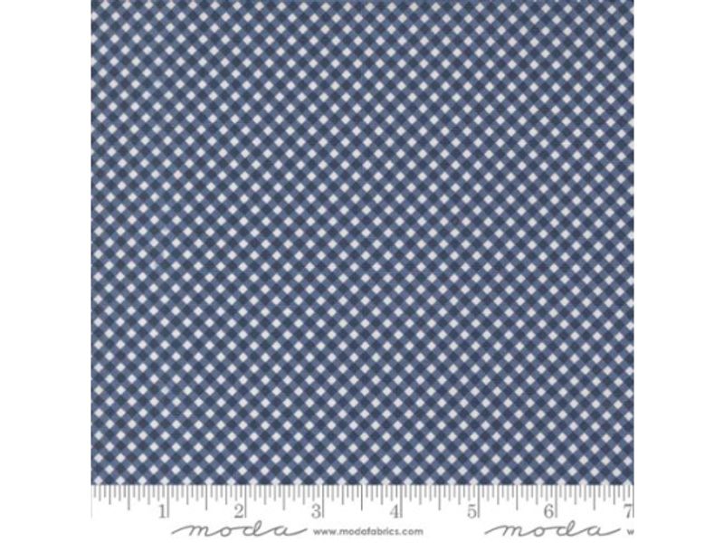 Raspberry summer blue gingham